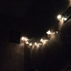 Meet your Posher, Martha